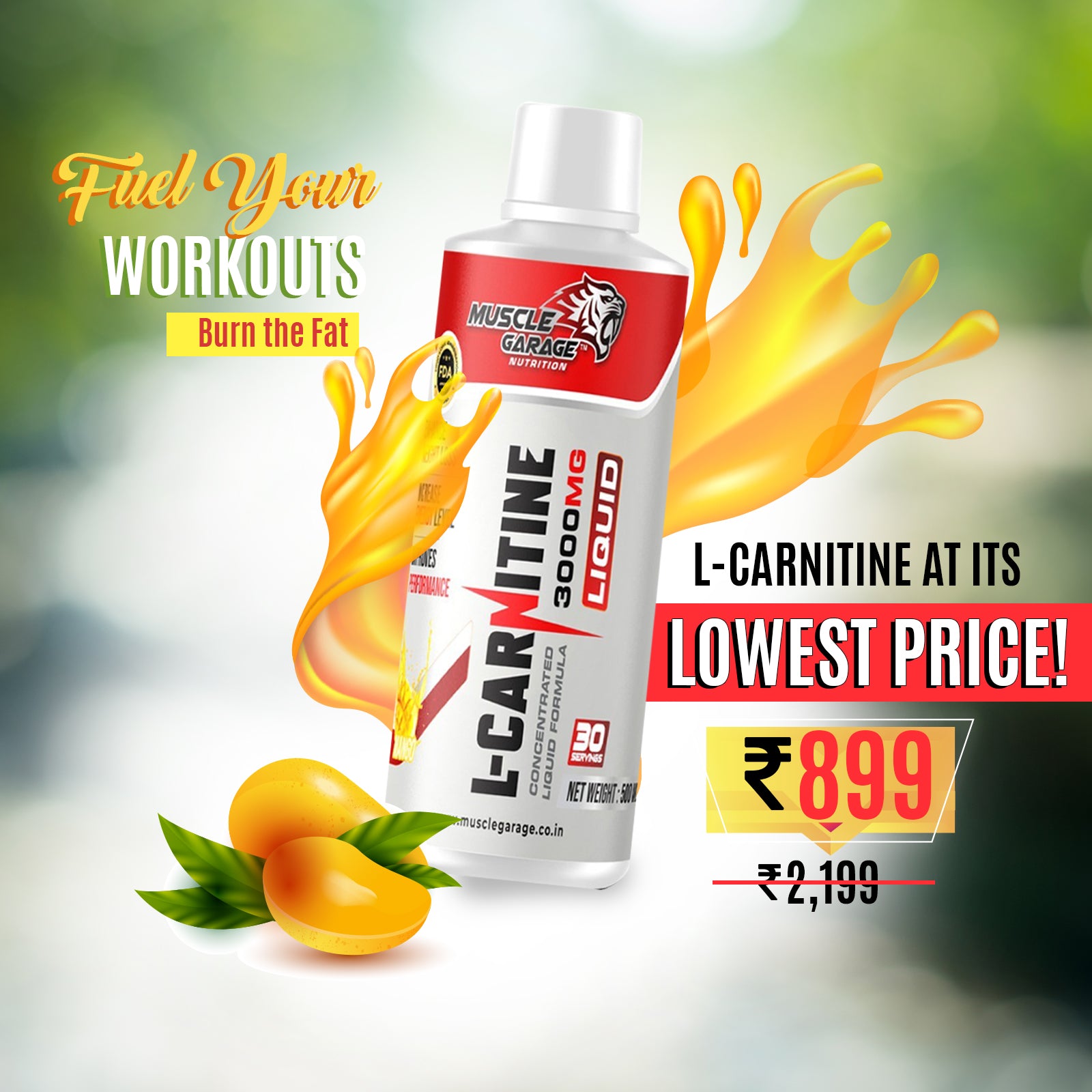 l carnitine 3500 mg L-Carnitine 3500MG – proteinxp.com