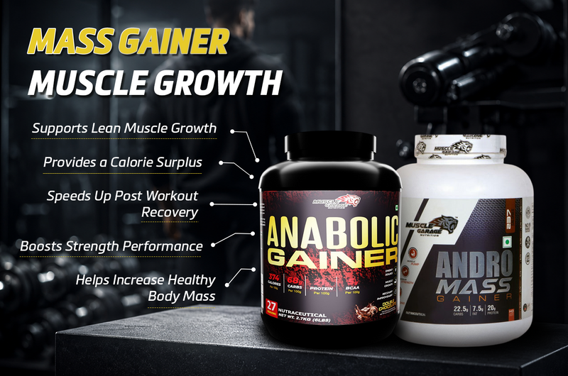 Top 5 Ways Mass Gainers Help Build Muscle Mass