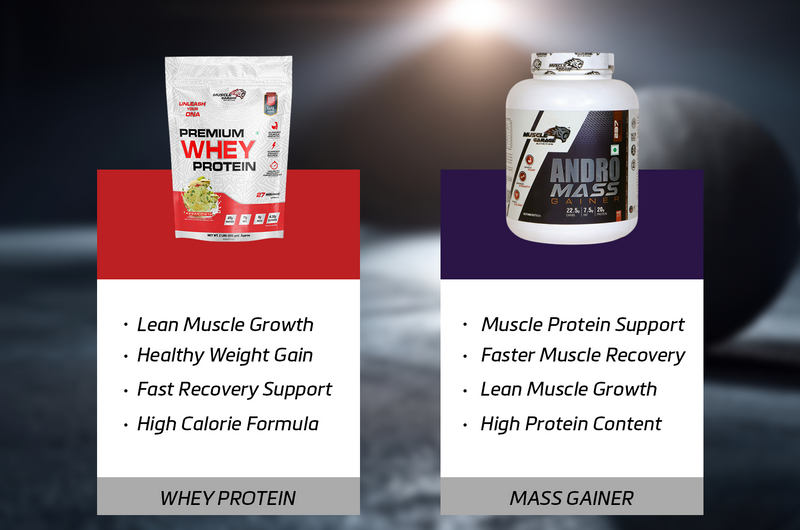 Whey Protein vs Mass Gainer: Which One Is Right for Your Bulk Goals?